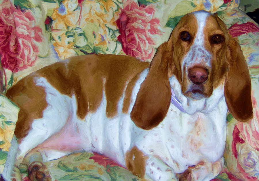 Dog Digital Art - Blossom the Bassett Hound by Liz Evensen