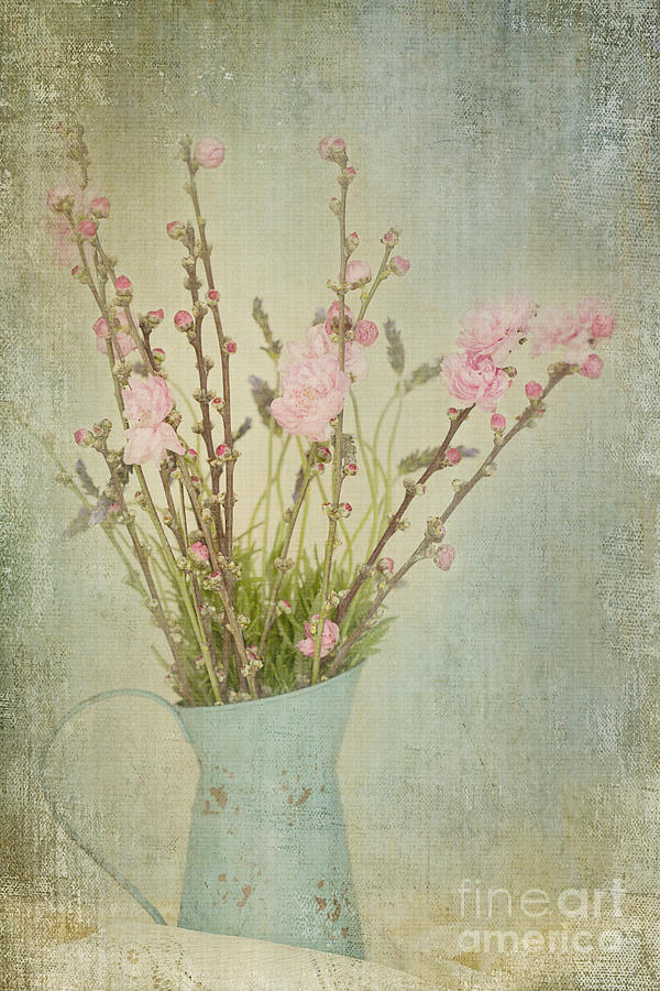 Blossoms and Lavender in Vintage Water Can Photograph by Susan Gary