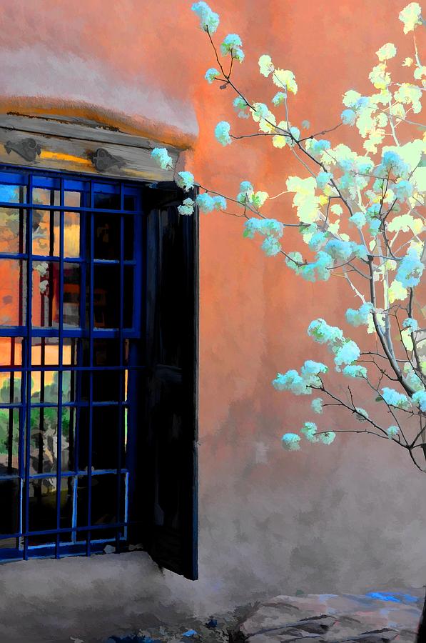 Blossoms And Stucco Photograph by Jan Amiss Photography