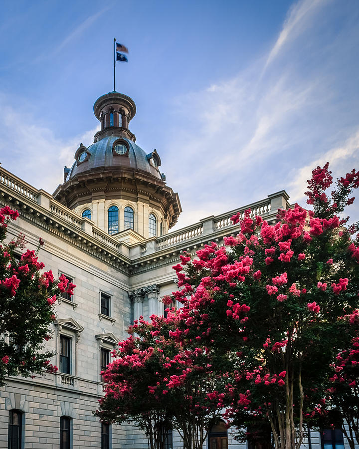 Blossoms At The State House Photograph by Travelers Pics