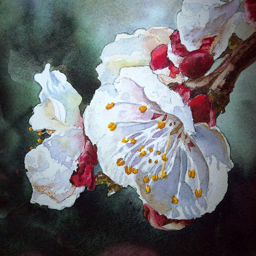 Nature Painting - Blossoms by Irina Sztukowski