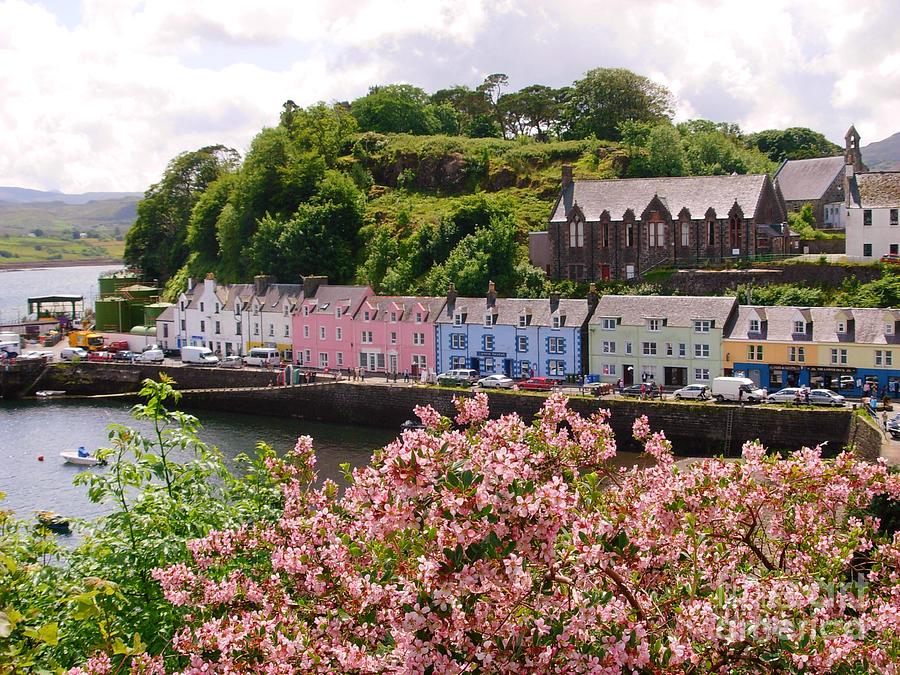 Blossoms Overlooking Portree Photograph by Joan-Violet Stretch
