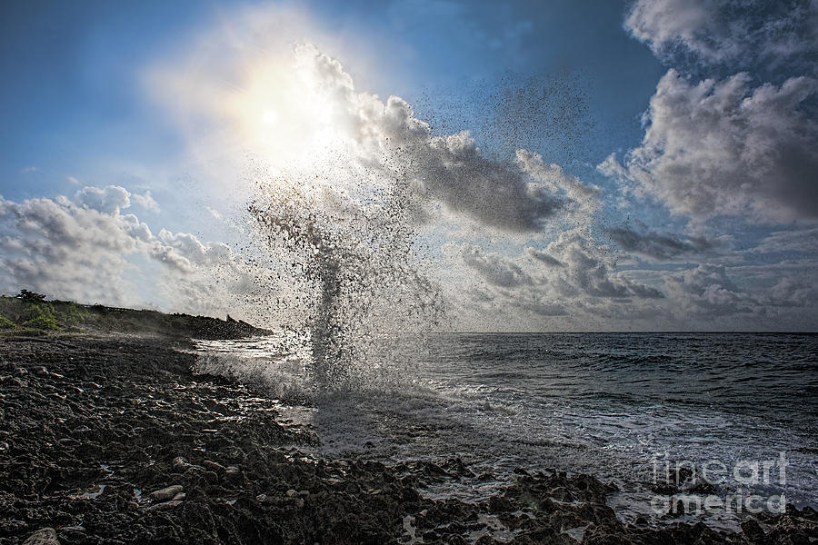 Blow Hole Photograph - Blow hole in morning by Dan Friend