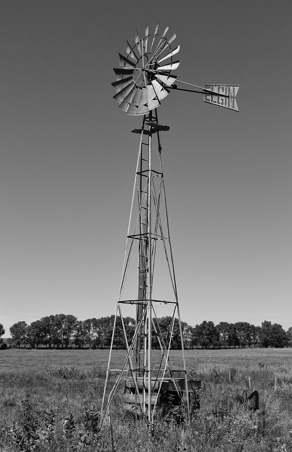 Blowing In The Wind Photograph by Peter Bouman - Fine Art America