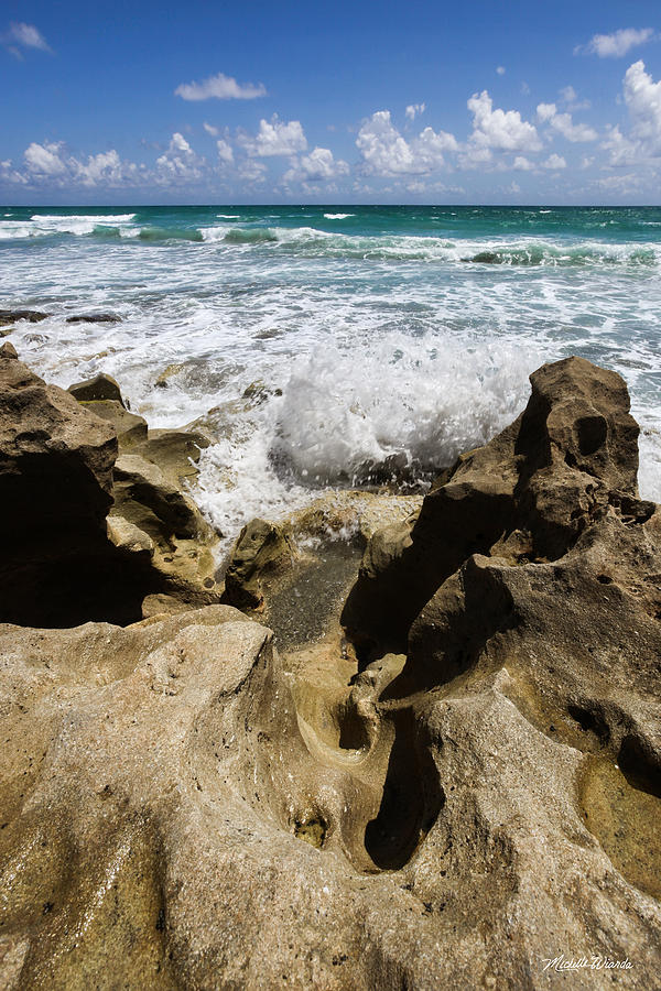 Blowing Rocks Preserve A Peaceful Sanctuary Jupiter Island Florida Photograph by Michelle Constantine