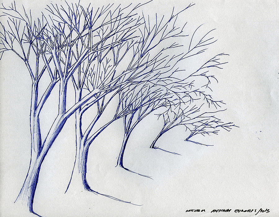 Blowing Trees Drawing by Michael Anthony Edwards