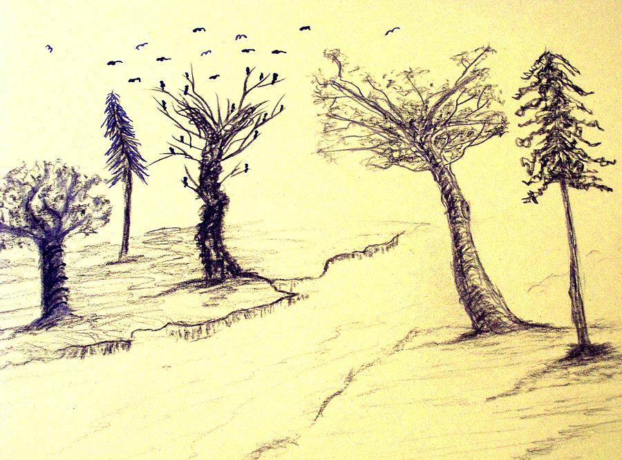 Birds Drawing