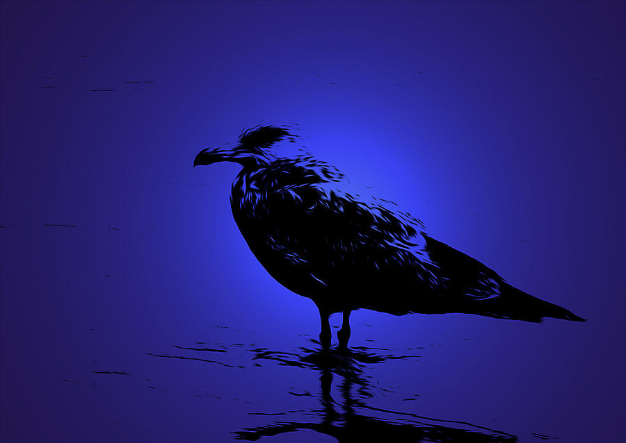 Blu Gull Photograph by Jerry Hart