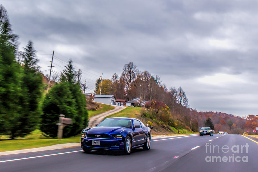 Blue 2014 Ford Mustang Photograph by Robert Loe