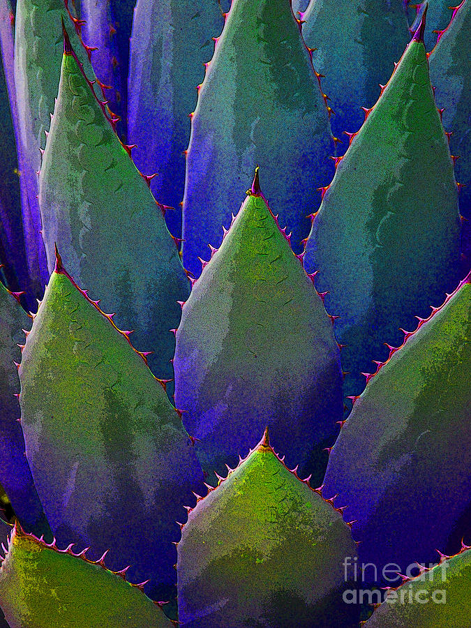 Blue Agave Painting by Victoria Page