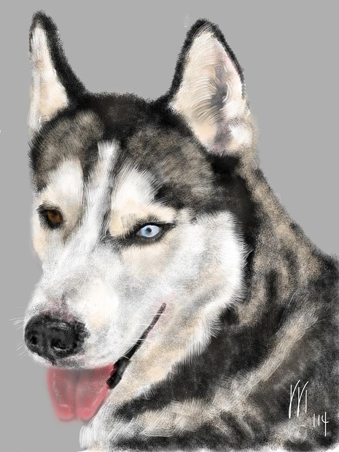 Blue and Brown Eyed Huskie Painting by Lois Ivancin Tavaf