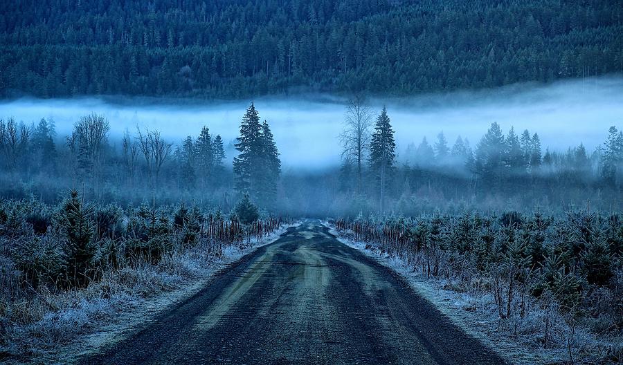 Blue and foggy and moody Photograph by Lynn Hopwood