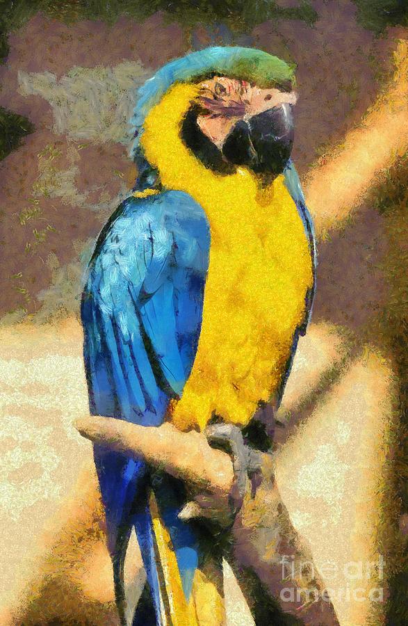 Macaw Painting - Blue and Gold Macaw by George Atsametakis