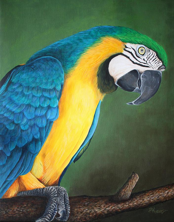 Blue And Gold Macaw Painting by Pam Kaur