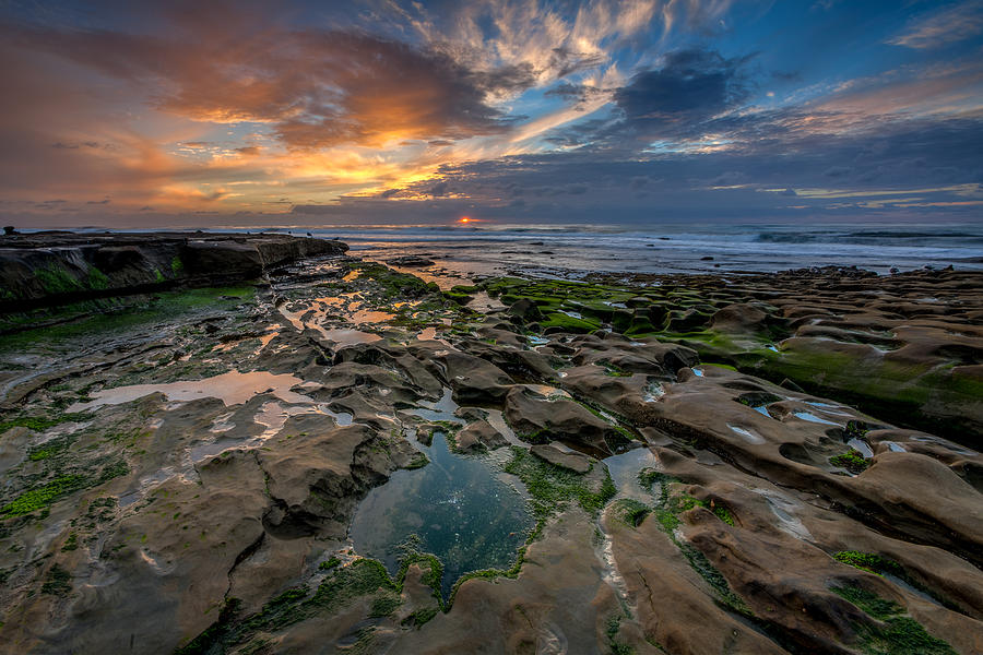 Blue and Gold Tidepools Photograph by Peter Tellone - Fine Art America