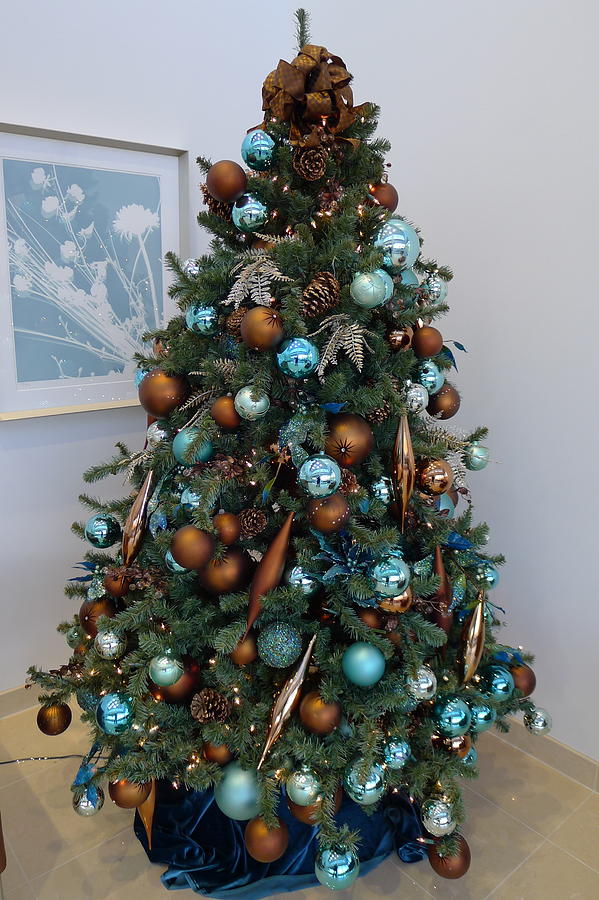 Blue and Gold Xmas Tree Photograph by Richard Reeve