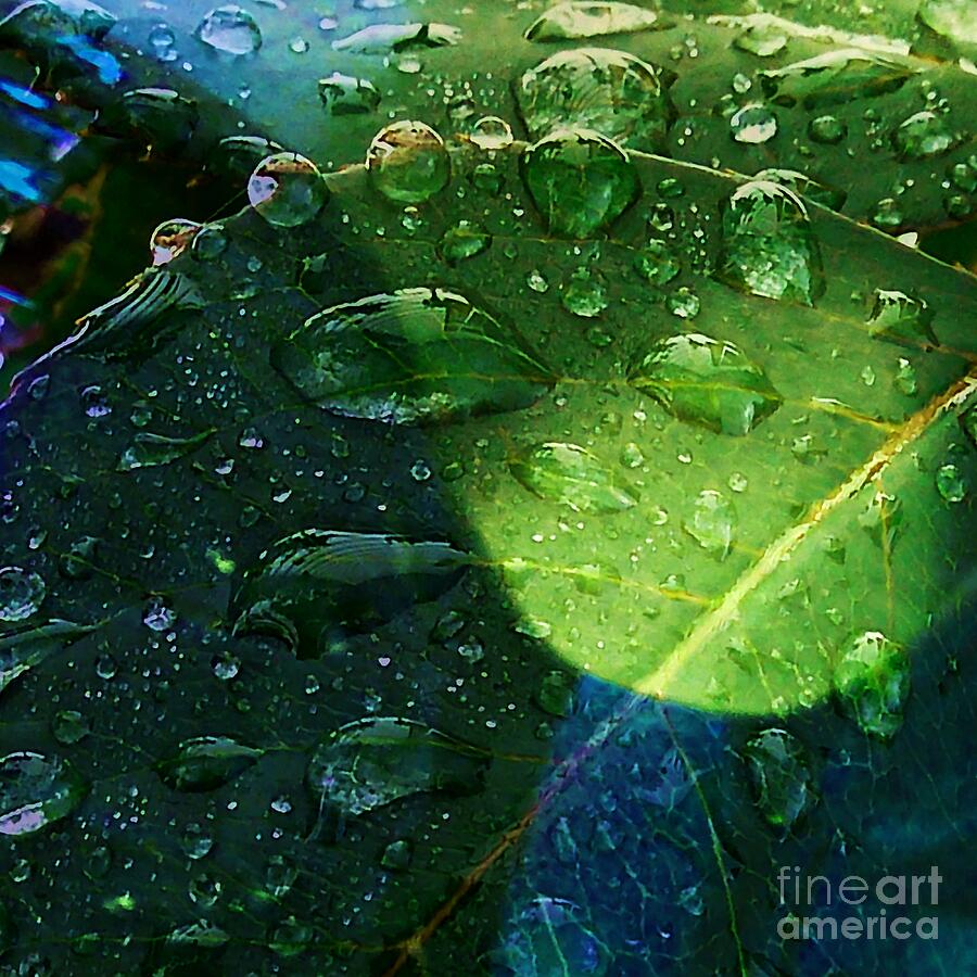 Blue and Green - Waterdrops Series Photograph by Patricia Strand