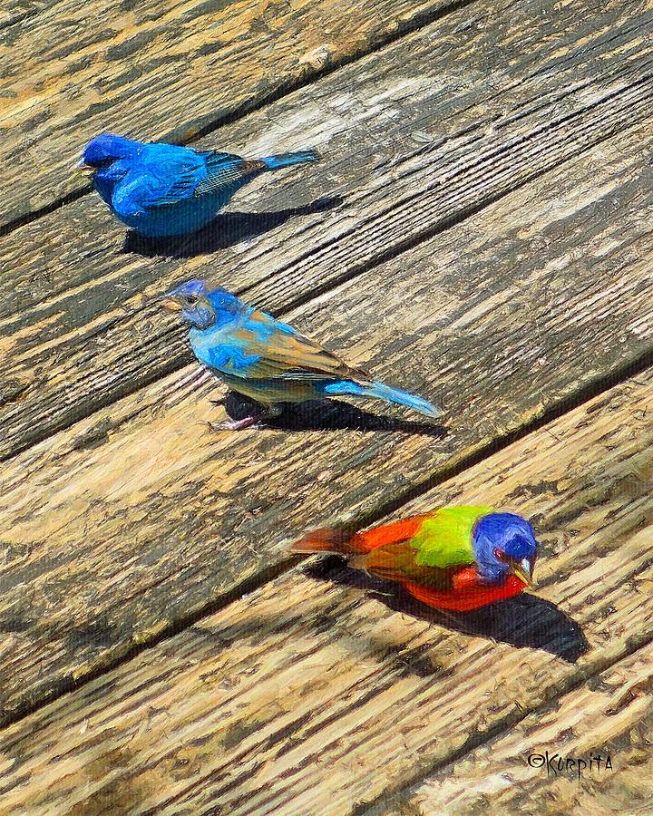 Blue and Indigo Buntings - Three Little Buntings Photograph by Rebecca Korpita