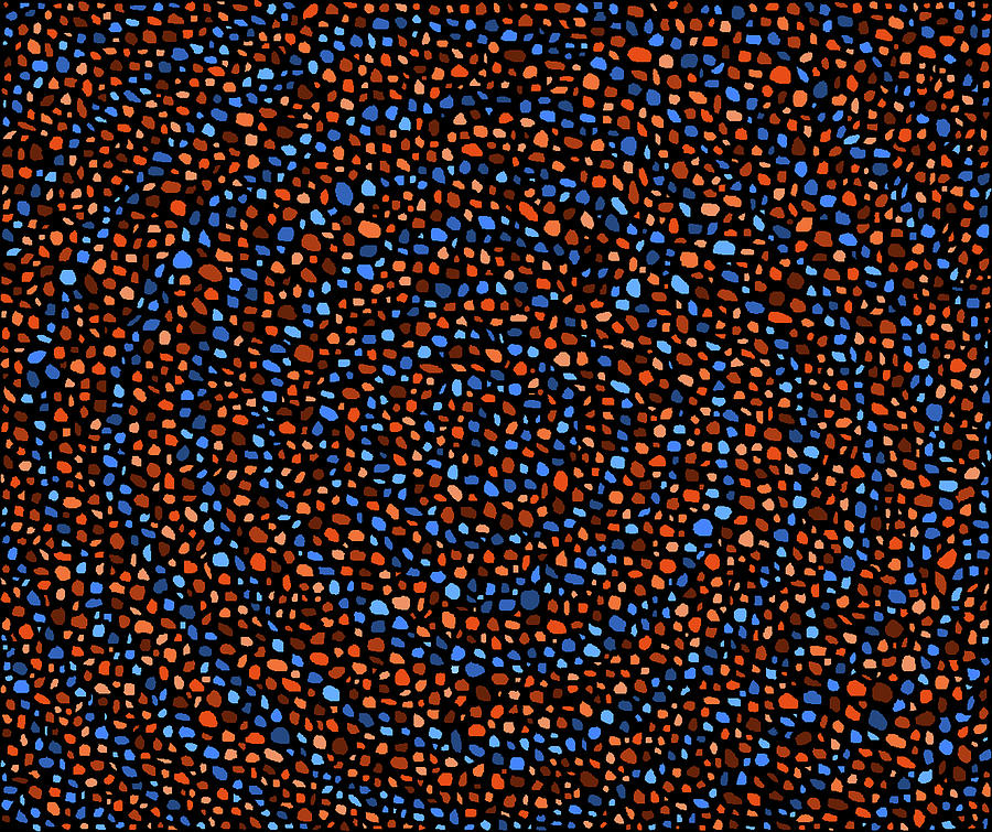 Blue and Orange Circles Digital Art by Janice Dunbar