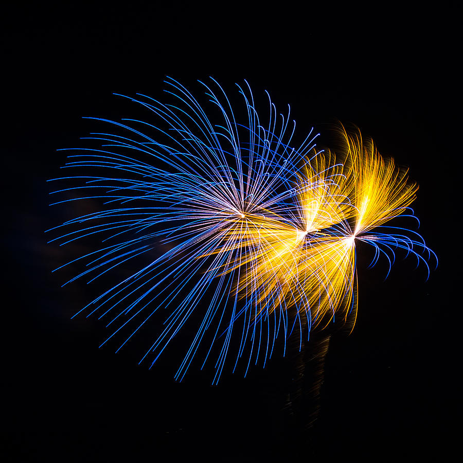 Independence Day Photograph - Blue and Orange fireworks by Paul Freidlund