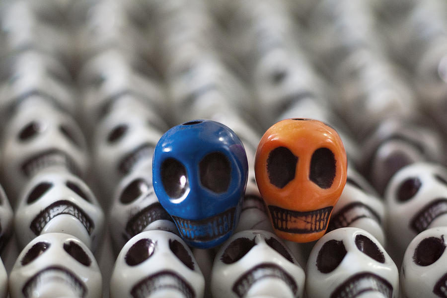 Skull Photograph - Blue And Orange by Mike Herdering