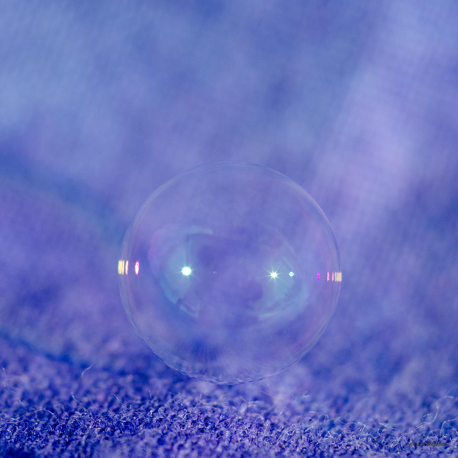 Purple Bubble Photograph by Crystal Wightman