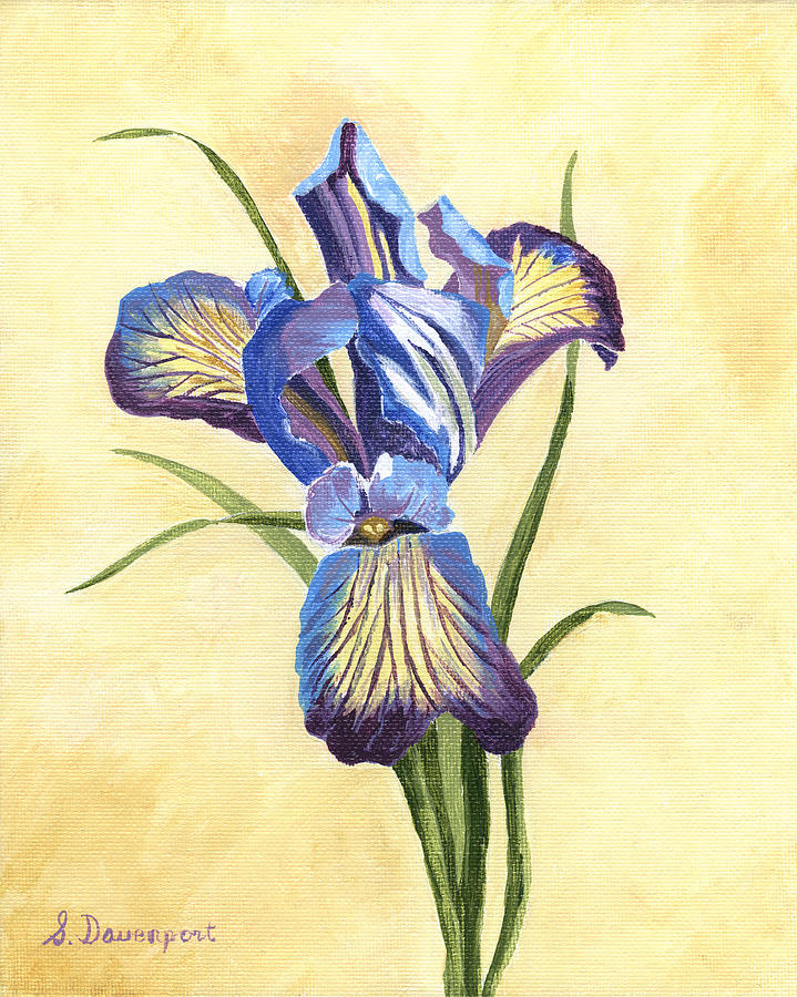 Blue And Purple Iris Painting By Sara Davenport - Fine Art America