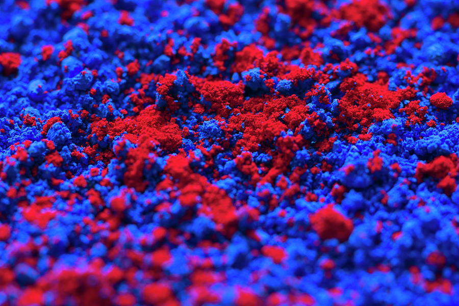 Blue And Red Artists Pigment Photograph by Daniel Sambraus/science Photo Library