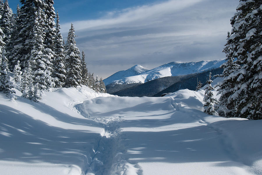 Blue and White Colorado Winter Landscape Photograph by Cascade Colors