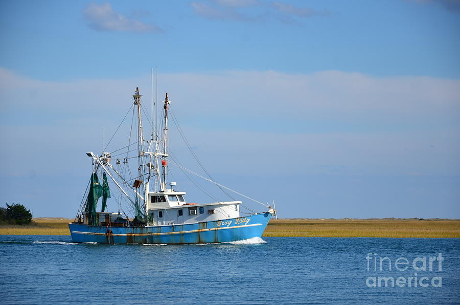 Blue And White Shrimp Boat Photograph by Bob Sample