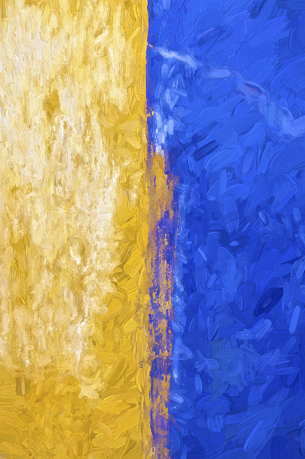 Blue and Yellow Abstract Photograph by David Letts