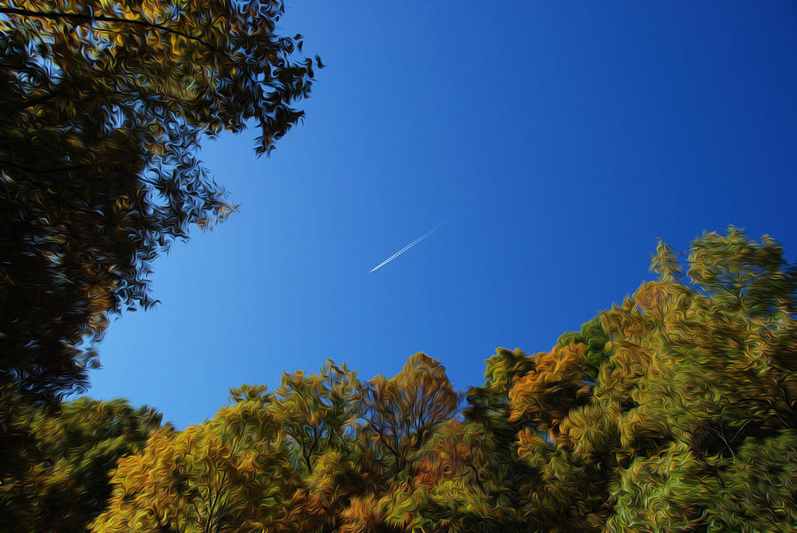 Blue Autumn Skies Photograph by Kelvin Booker