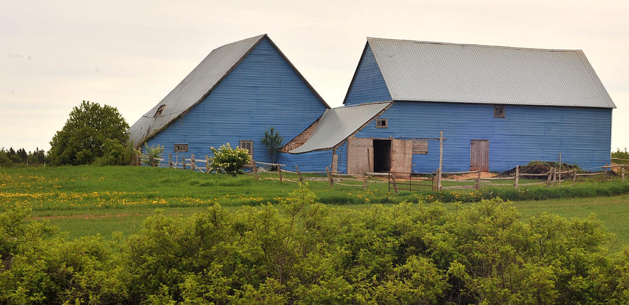 Blue Barns Photograph By Steve Archbold