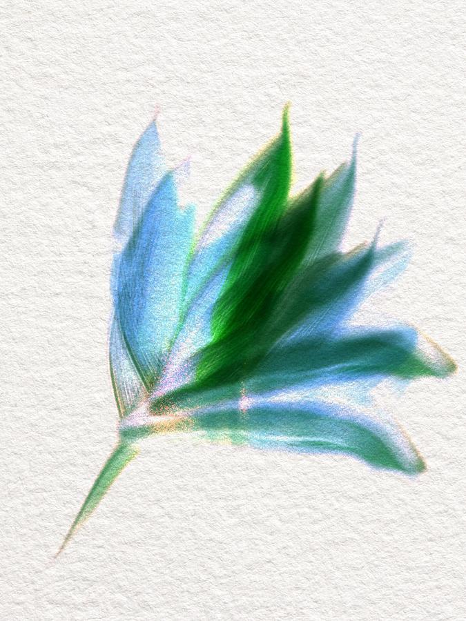 Blue Bay Leaf Digital Art by Frank Bright