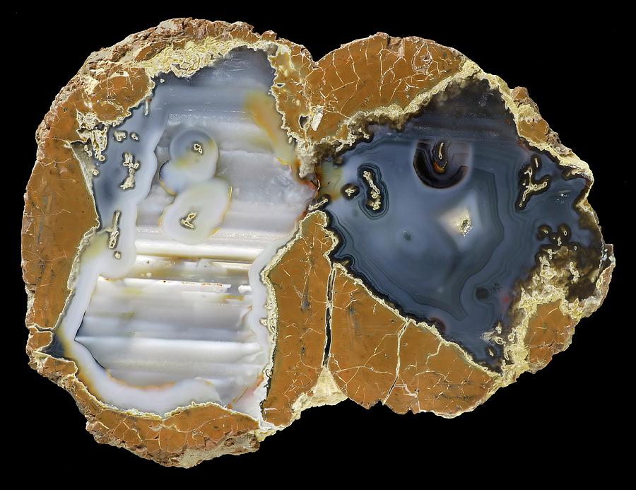 Blue Bed Thunder Egg Agate Photograph by Natural History Museum, London/science Photo Library