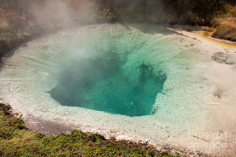 Blue Bell Pool in West Thumb Geyser Basin in Yellowstone National Park Photograph by Fred Stearns