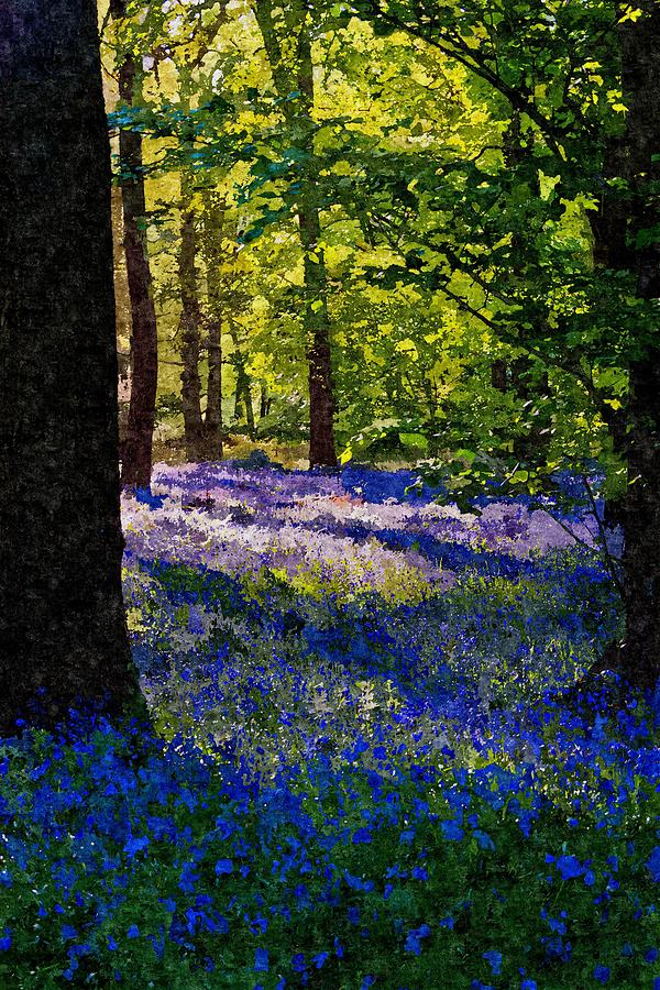 Tree Photograph - BlueBells by Scott Carruthers
