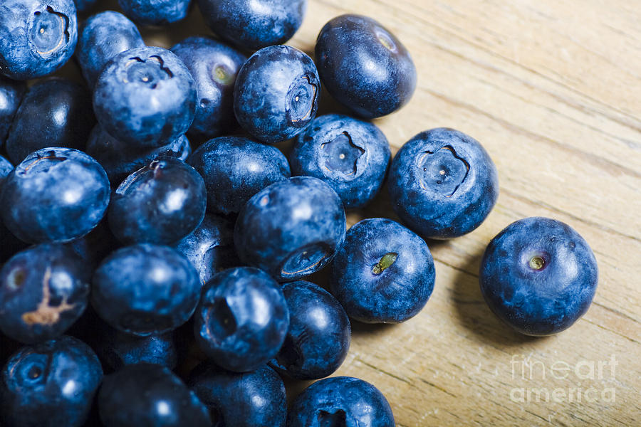Blue Berries  Photograph by Jorgo Photography