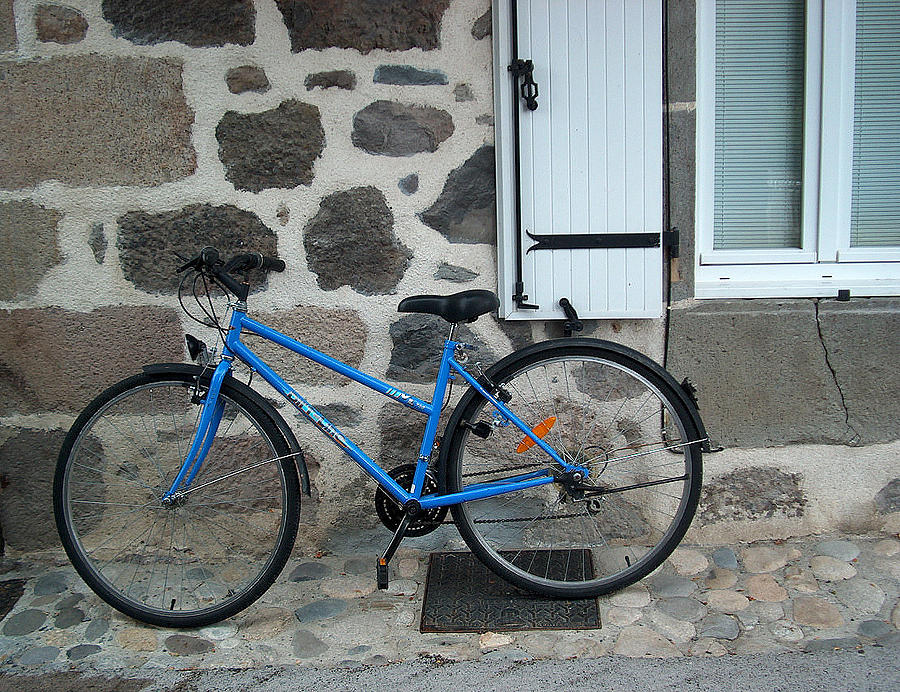 Blue Bike  Photograph by Nancy Clendaniel