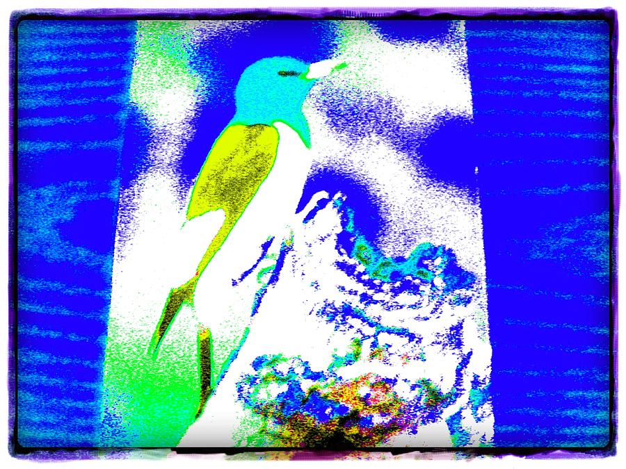 Visuals Digital Art - Blue Bird by HollyWood Creation By linda zanini