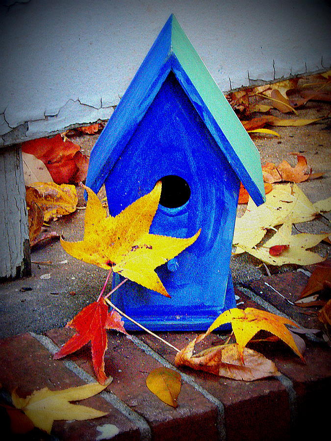 Blue Bird House Photograph by Rodney Lee Williams