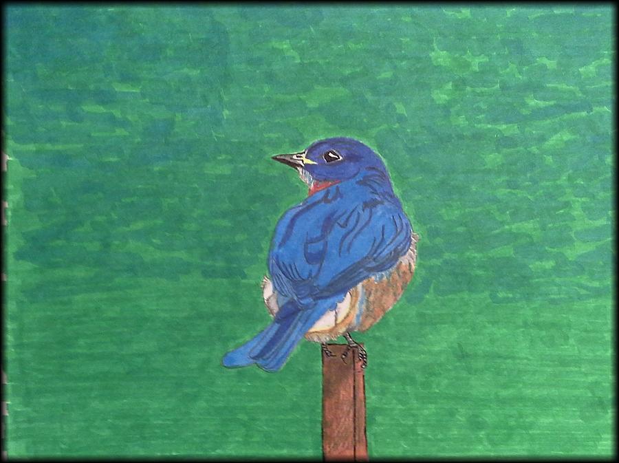 Blue Bird Drawing by Tony Clark