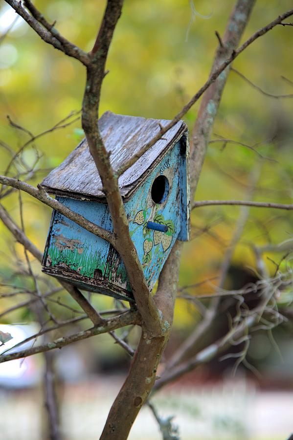 Blue Birdhouse Photograph by Gordon Elwell