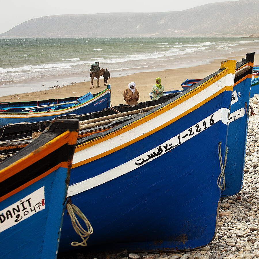 Blue Boats and a Camel Photograph by David Davies
