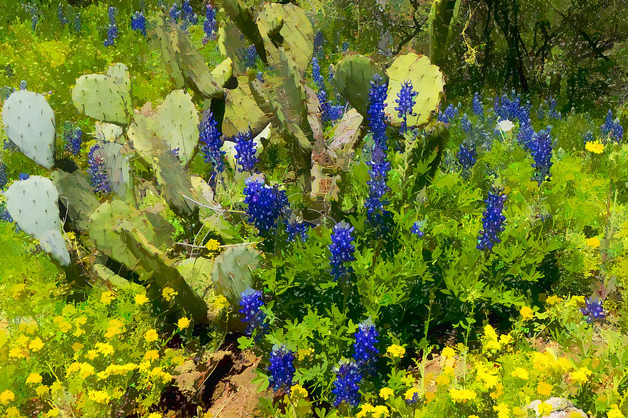 Blue Bonnets and Cactus Photograph by Dean Ginther