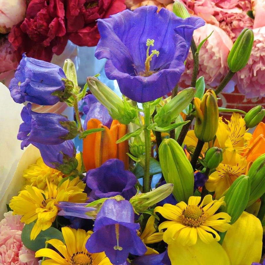 Blue Bouquet Photograph by Vijay Sharon Govender