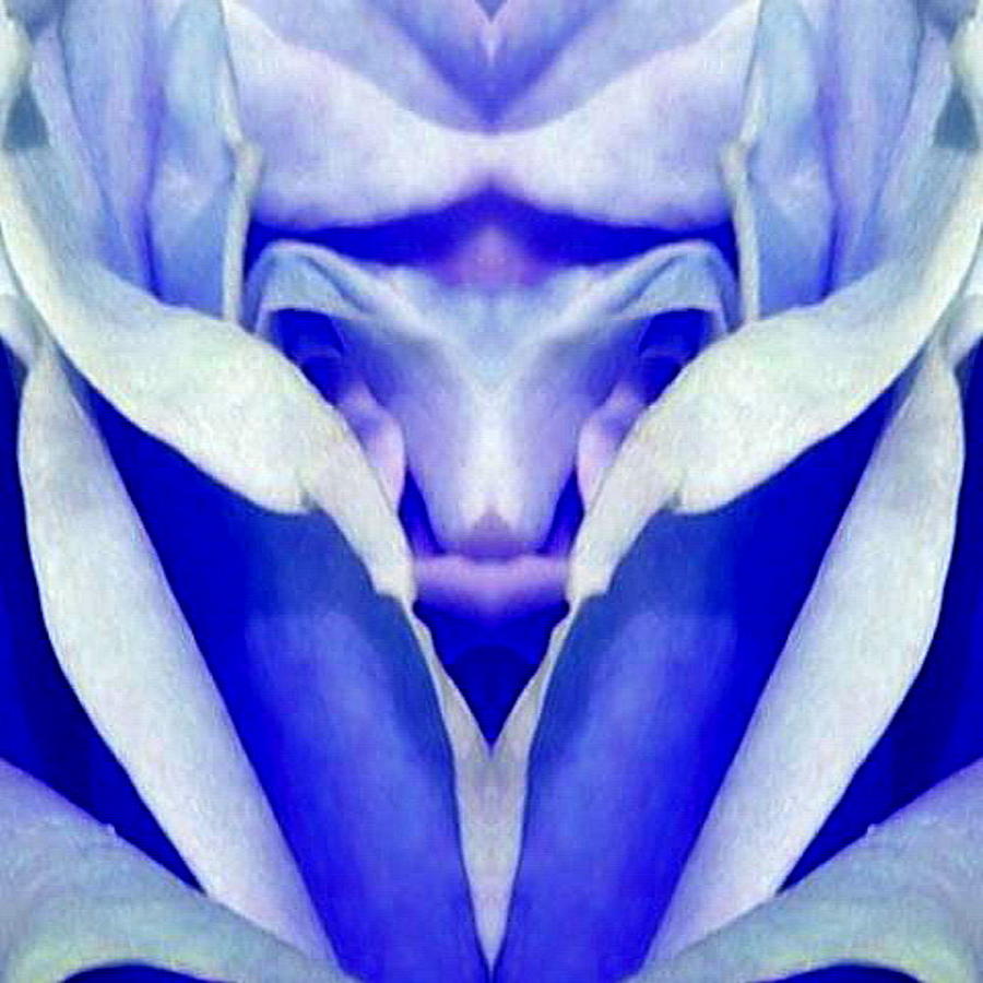 Blue Boy Flower Digital Art by Mary Russell