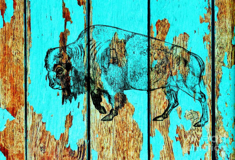 Blue Buffalo 3 Drawing by Larry Campbell