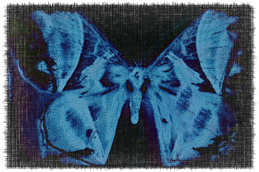 Blue Butterfly Abstract iPhone Case and Card Photograph by Bill Owen