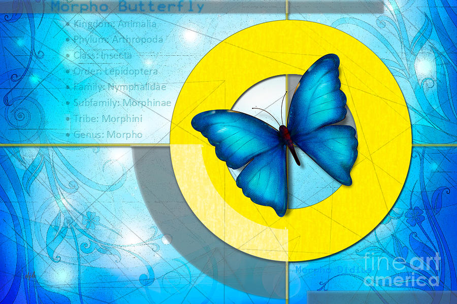 Butterfly Digital Art - Blue Butterfly by Peter Awax